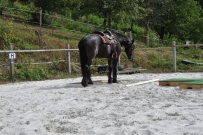 Patrouillenritt_2018