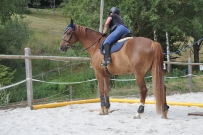 Patrouillenritt_2018