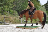 Patrouillenritt_2018