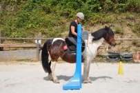 Patrouillenritt_2018