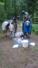 Patrouillenritt_2018