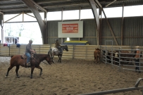 Rindertraining_2015