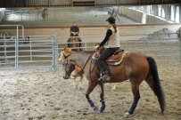 Rindertraining_2015