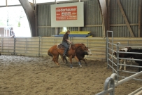 Rindertraining_2015