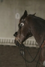 Trail_Kurs_2009