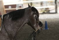 Trail_Kurs_2009