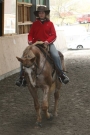 Trail_Kurs_2009
