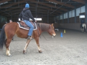 Trail_Kurs_2010