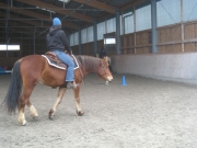 Trail_Kurs_2010