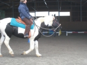 Trail_Kurs_2010