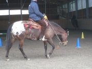 Trail_Kurs_2010