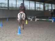 Trail_Kurs_2010
