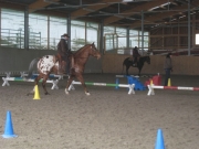 Trail_Kurs_2010
