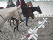 Trail_Kurs_2010