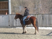 Trail_Kurs_2010