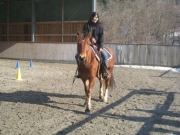 Trail_Kurs_2010