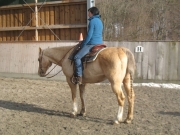 Trail_Kurs_2010