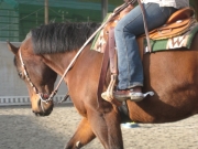 Trail_Kurs_2010
