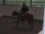 Trail_Kurs_2010