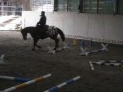 Trail_Kurs_2010