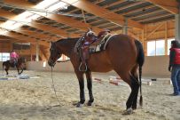 Trail_Kurs_2011
