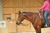 Trail_Kurs_2011