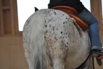 Trail_Kurs_2011