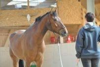 Trail_Kurs_2011