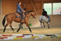Trail_Kurs_2011
