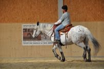 Trail_Kurs_2011