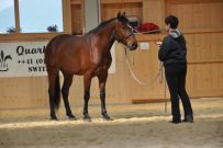 Trail_Kurs_2011