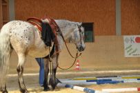 Trail_Kurs_2011
