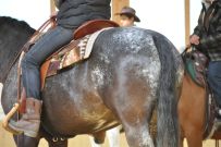 Trail_Kurs_2011