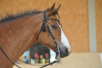 Trail_Kurs_2011