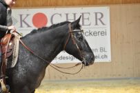Trail_Kurs_2011