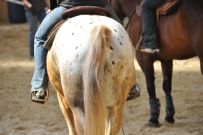 Trail_Kurs_2011