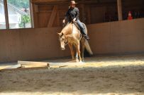 Trail_Kurs_2011
