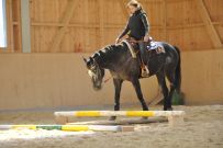 Trail_Kurs_2011