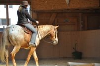 Trail_Kurs_2011