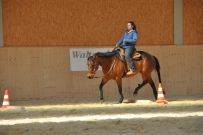 Trail_Kurs_2011