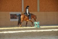 Trail_Kurs_2011