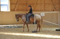 Trail_Kurs_2011