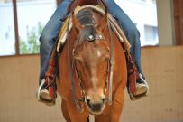 Trail_Kurs_2011