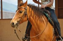 Trail_Kurs_2011