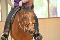Trail_Kurs_2011