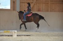Trail_Kurs_2011