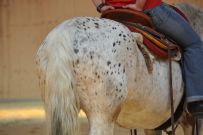 Trail_Kurs_2011