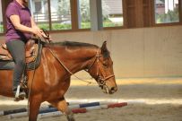Trail_Kurs_2011