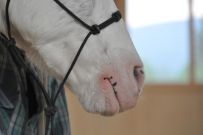 Trail_Kurs_2011