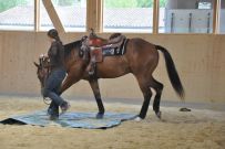 Trail_Kurs_2011